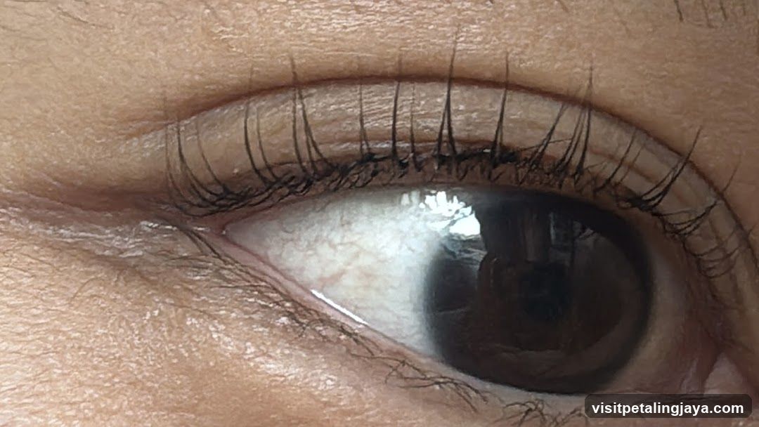 Ruby’s Beauté (Subang) - Brow Expert, Keratin Lash lift, Lash Extensions, Brow Tattoo Removal. Brow Bomber, Lash Lift