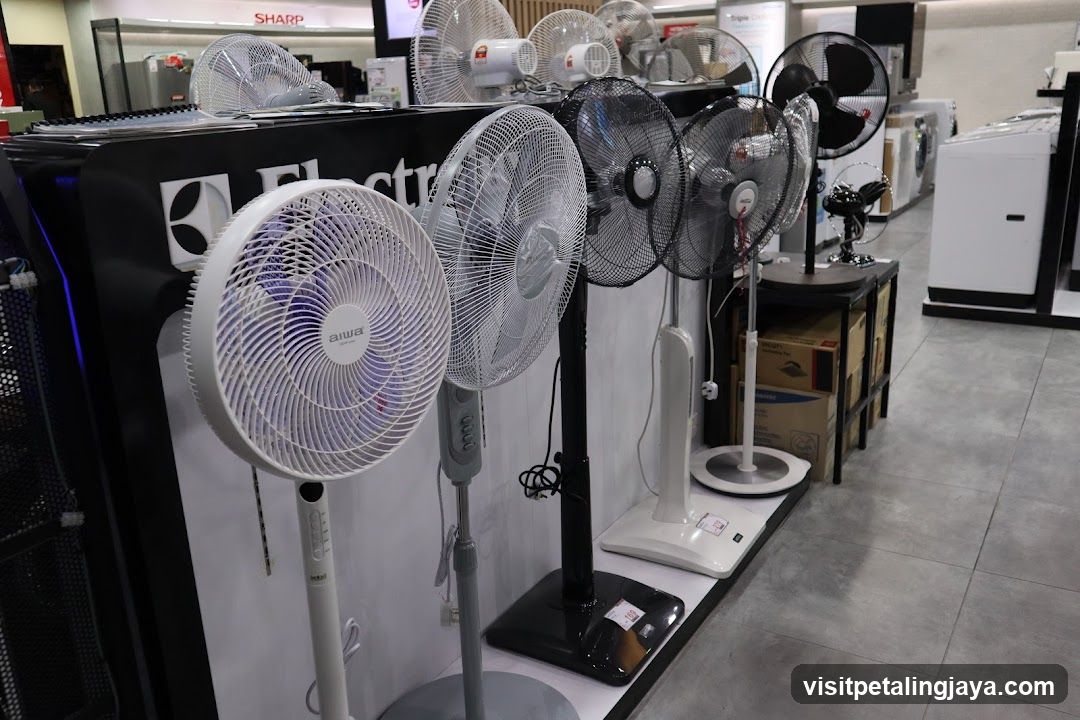 Assortment of Fans on Display