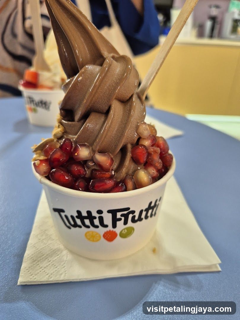 Chocolate Frozen Yogurt with Pomegranate Seeds
