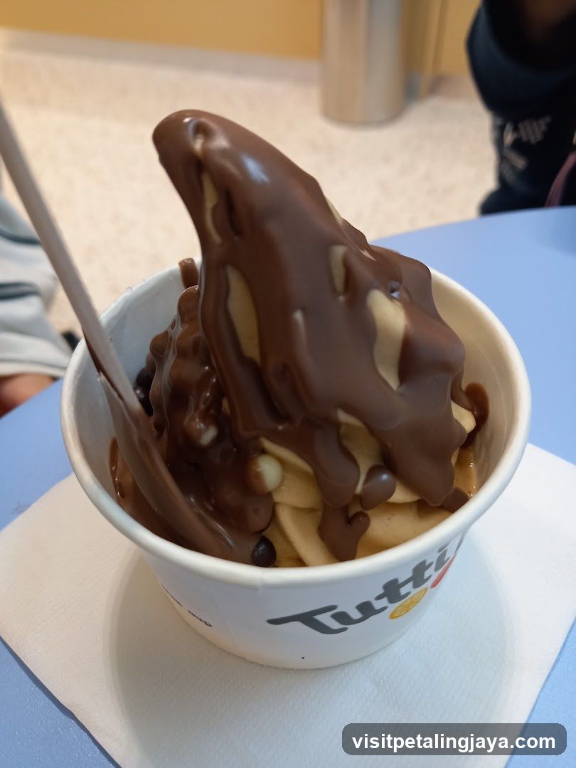Frozen Yogurt with Chocolate Drizzle