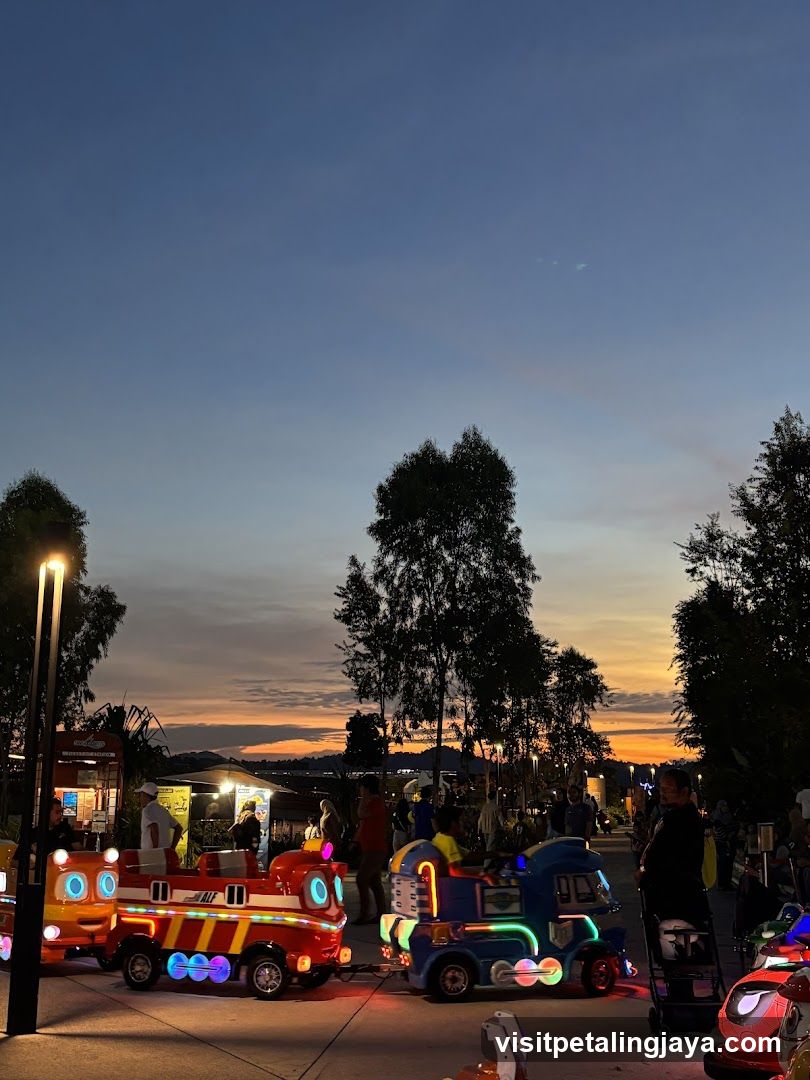 Amusement Park Rides at Dusk