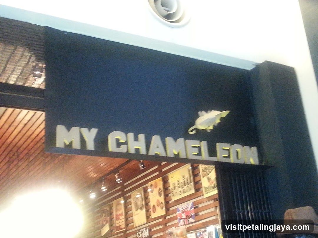 MyChameleon Publika