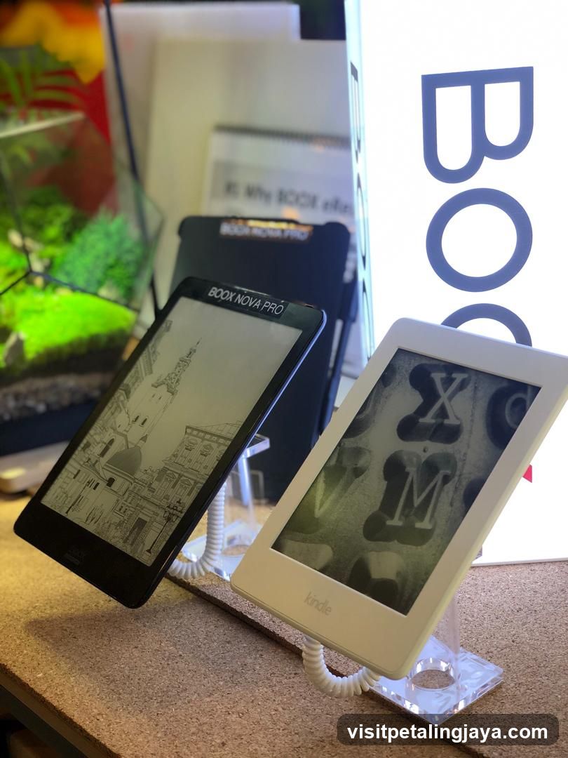 E-Reader Display