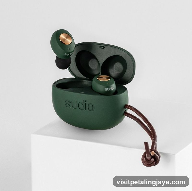 Sudio Wireless Earbuds