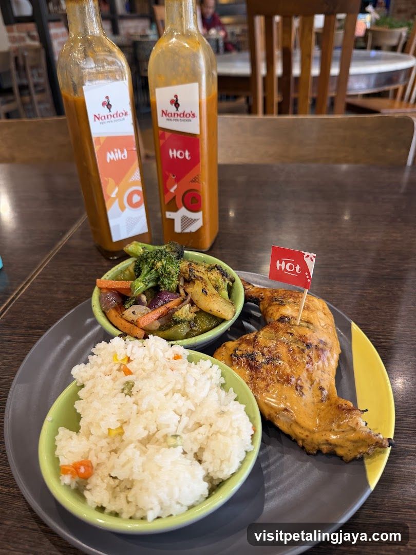 Nando's Meal Plate