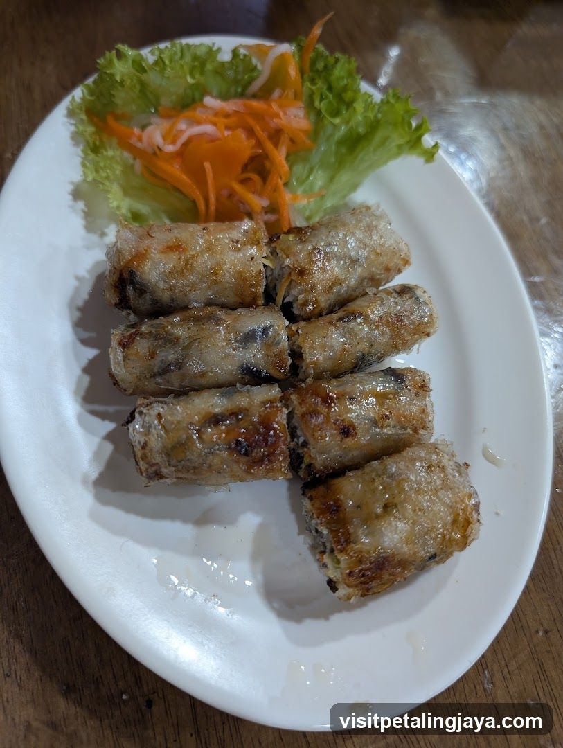 Fried Spring Rolls with Garnish