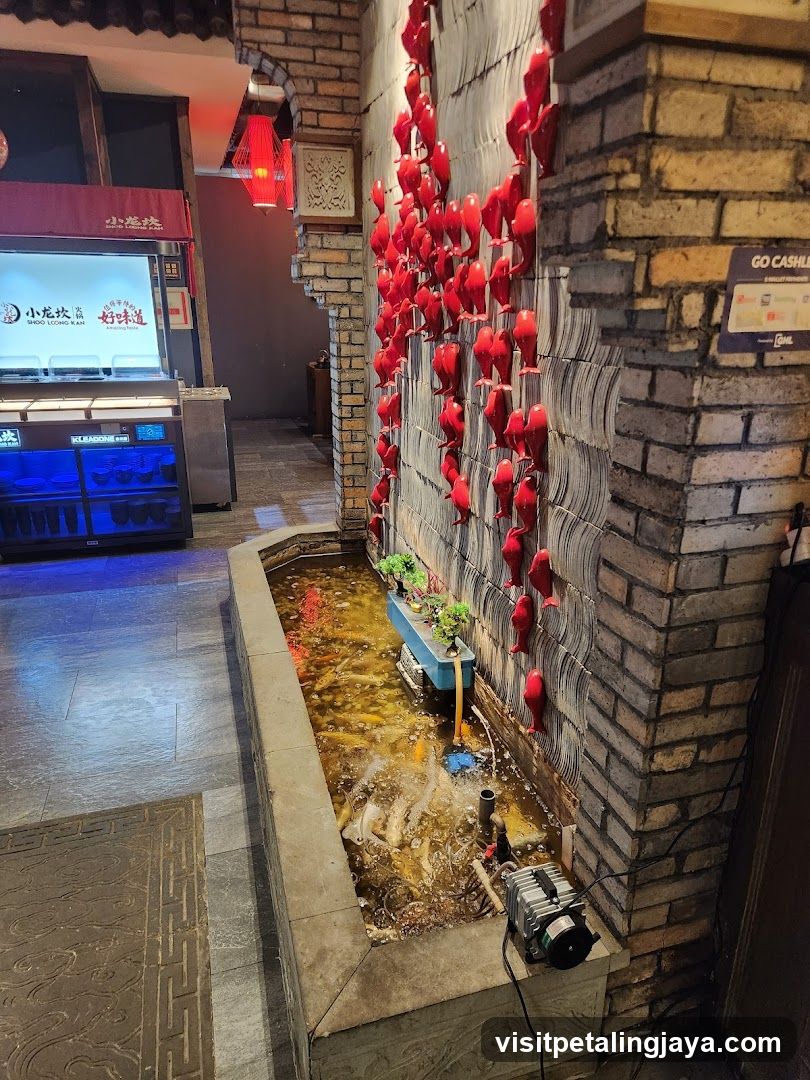 Interior with decorative fish wall and food display