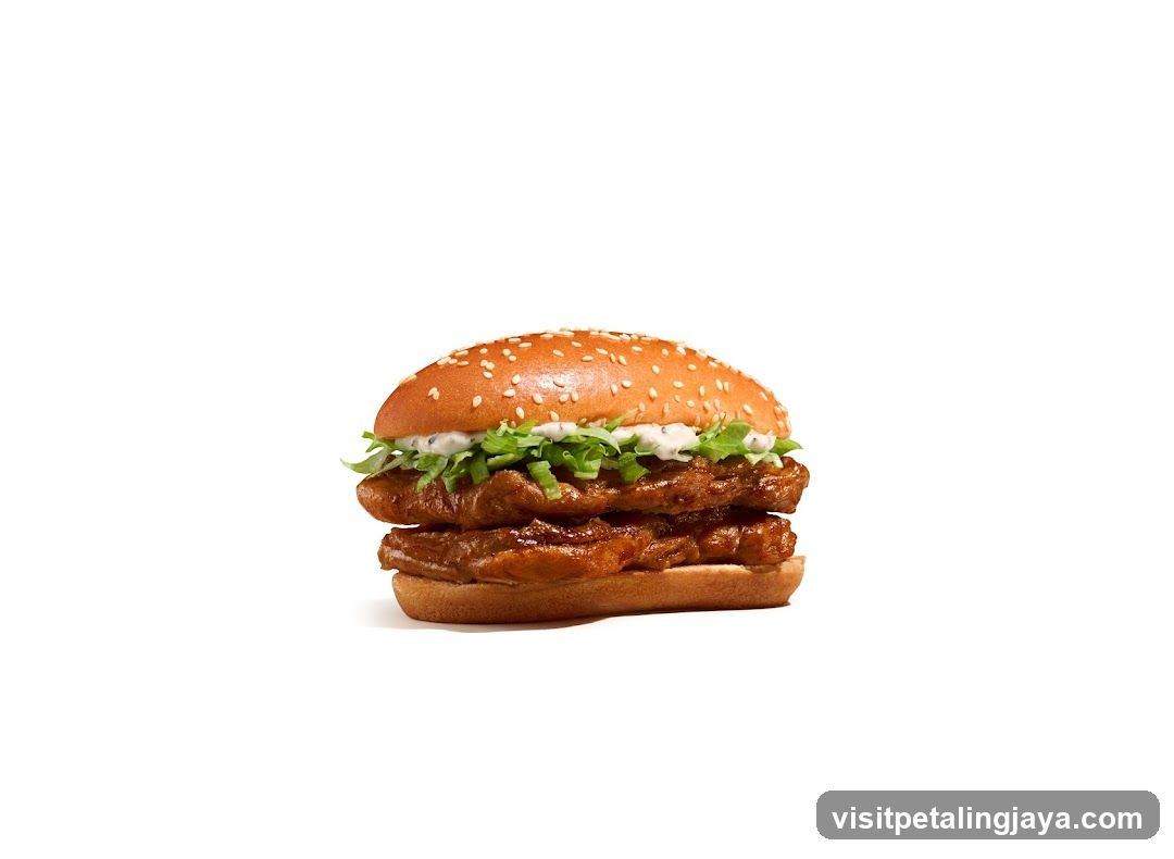 Burger Product Image