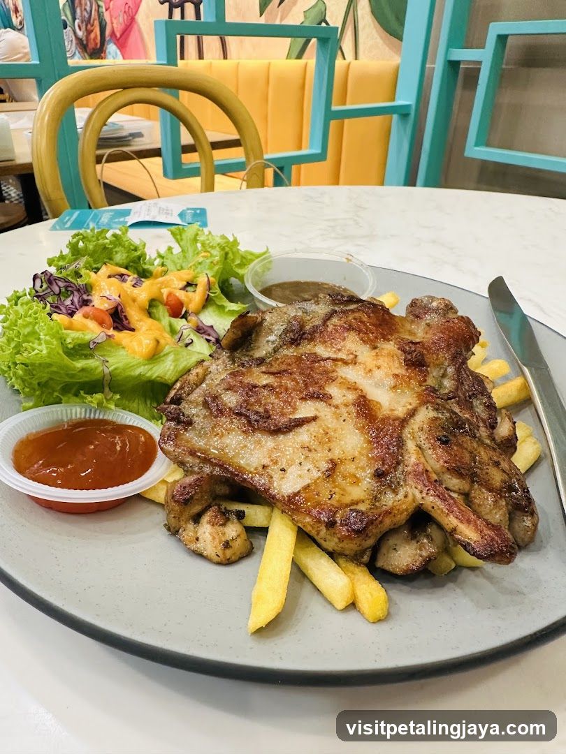 Grilled Chicken Plate with Fries and Salad