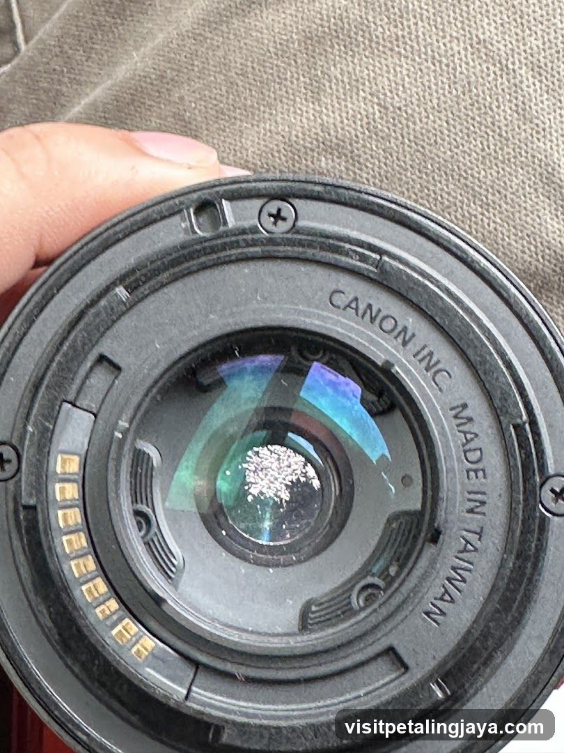 Canon Lens Close-Up