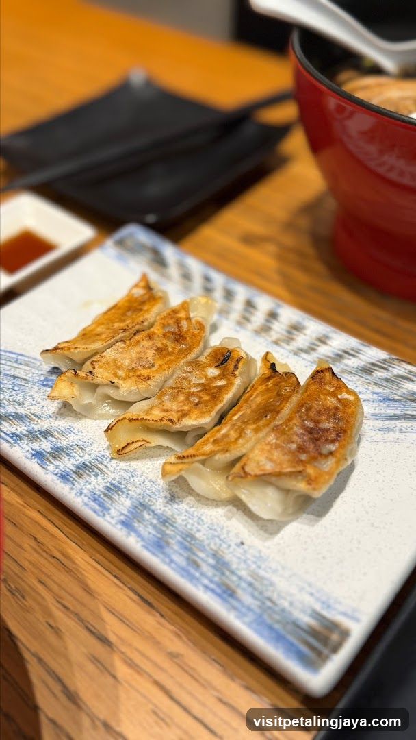 Gyoza on a plate