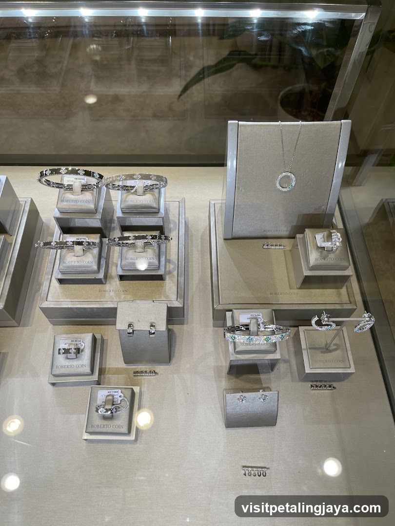 Jewelry Display Case