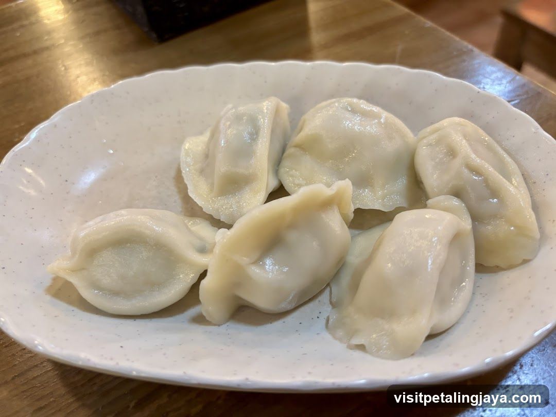 Dumplings on a Plate