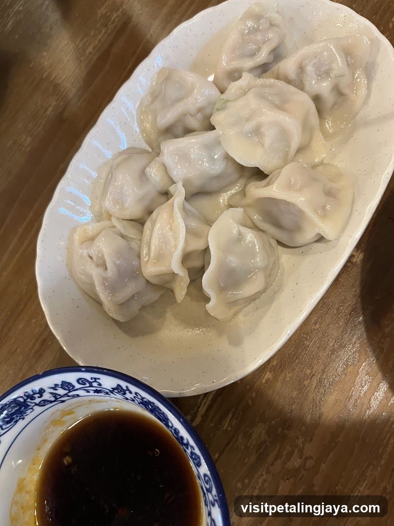 Dumplings with Sauce