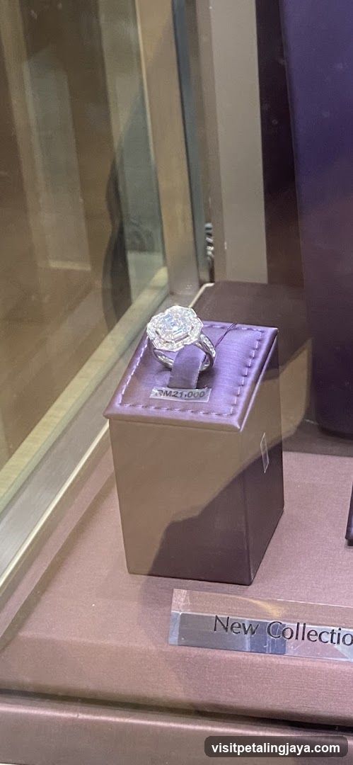 Jewelry Display Case