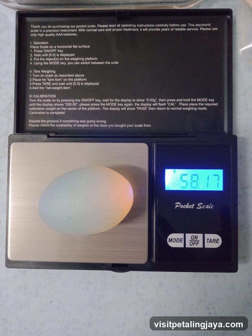 Pocket Scale with Egg
