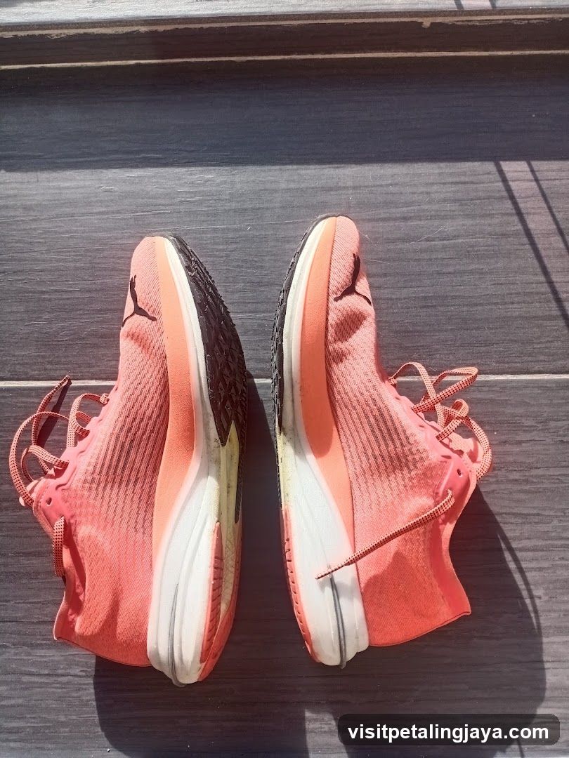 Nike Pegasus Running Shoes