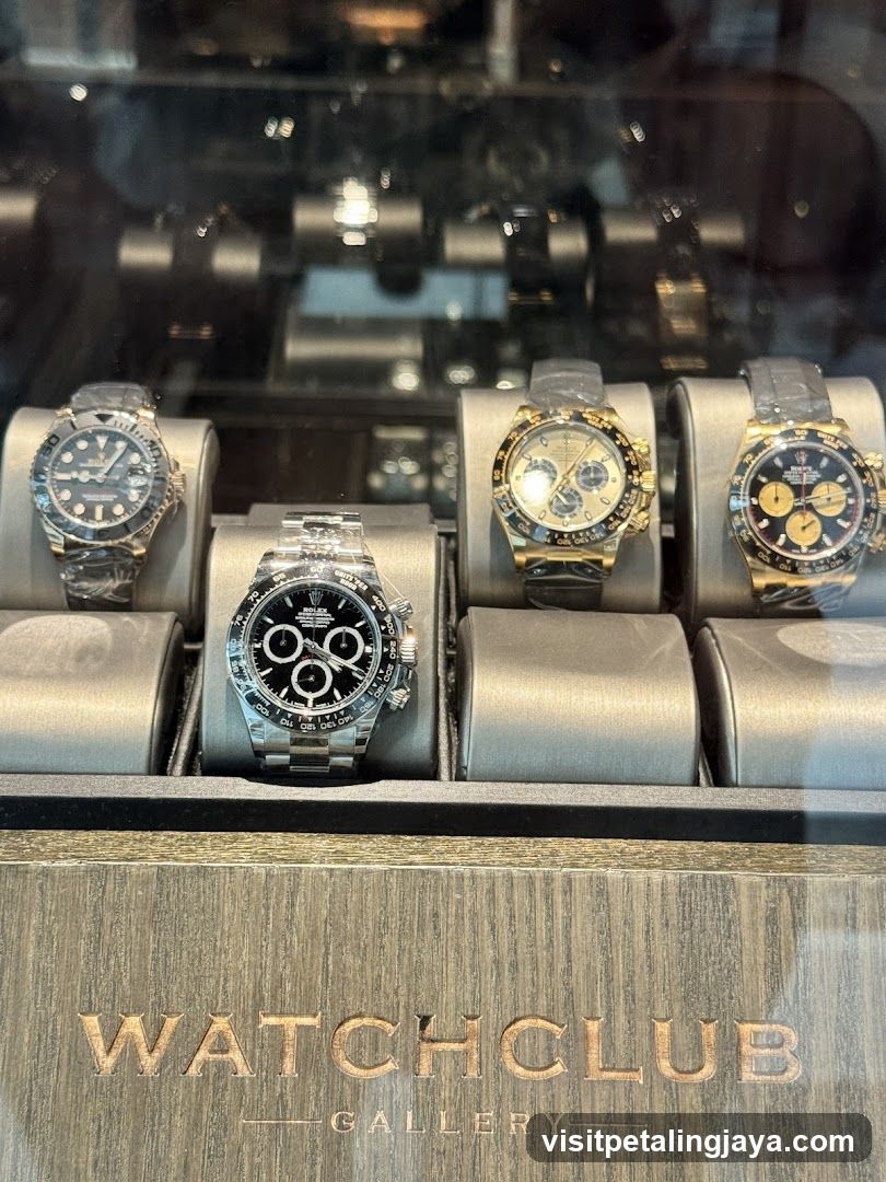 Watch Display Case