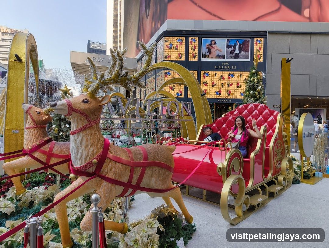 Christmas Sleigh Display