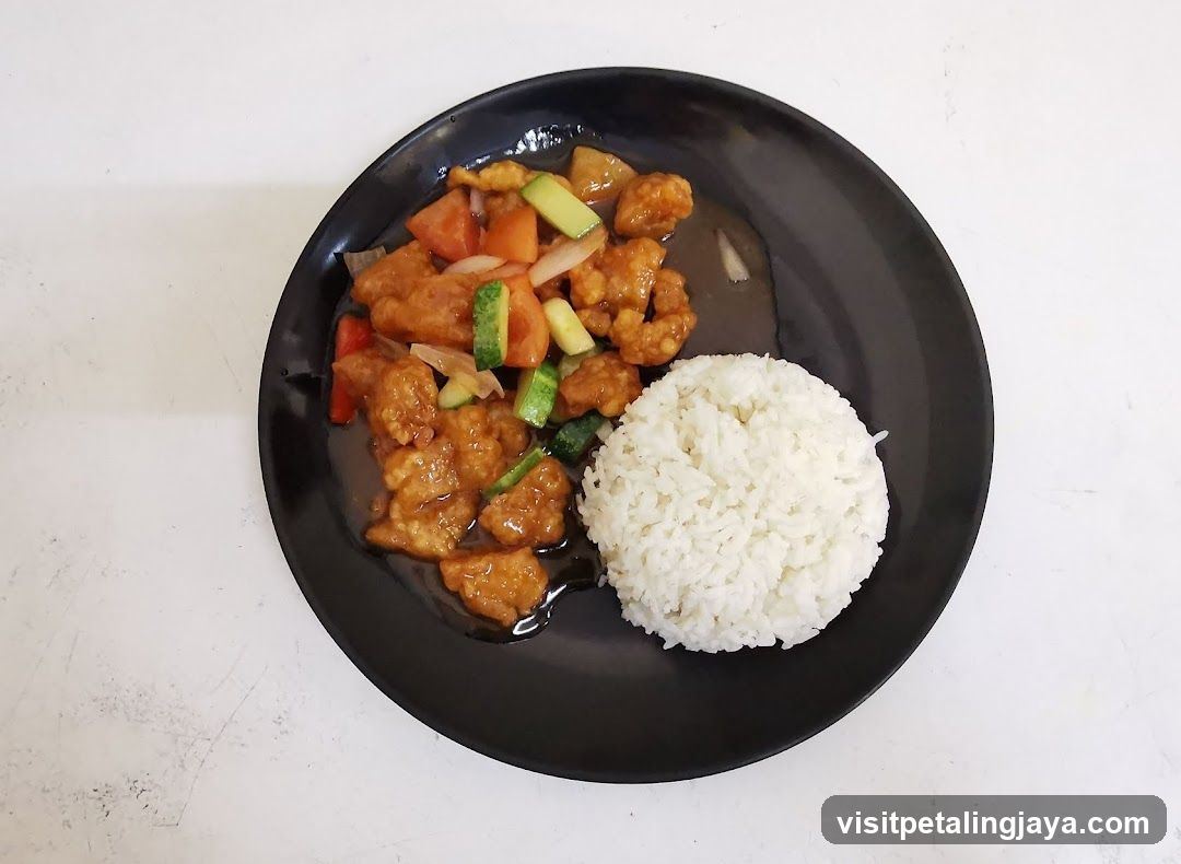 Soy Sauce Chicken with Rice