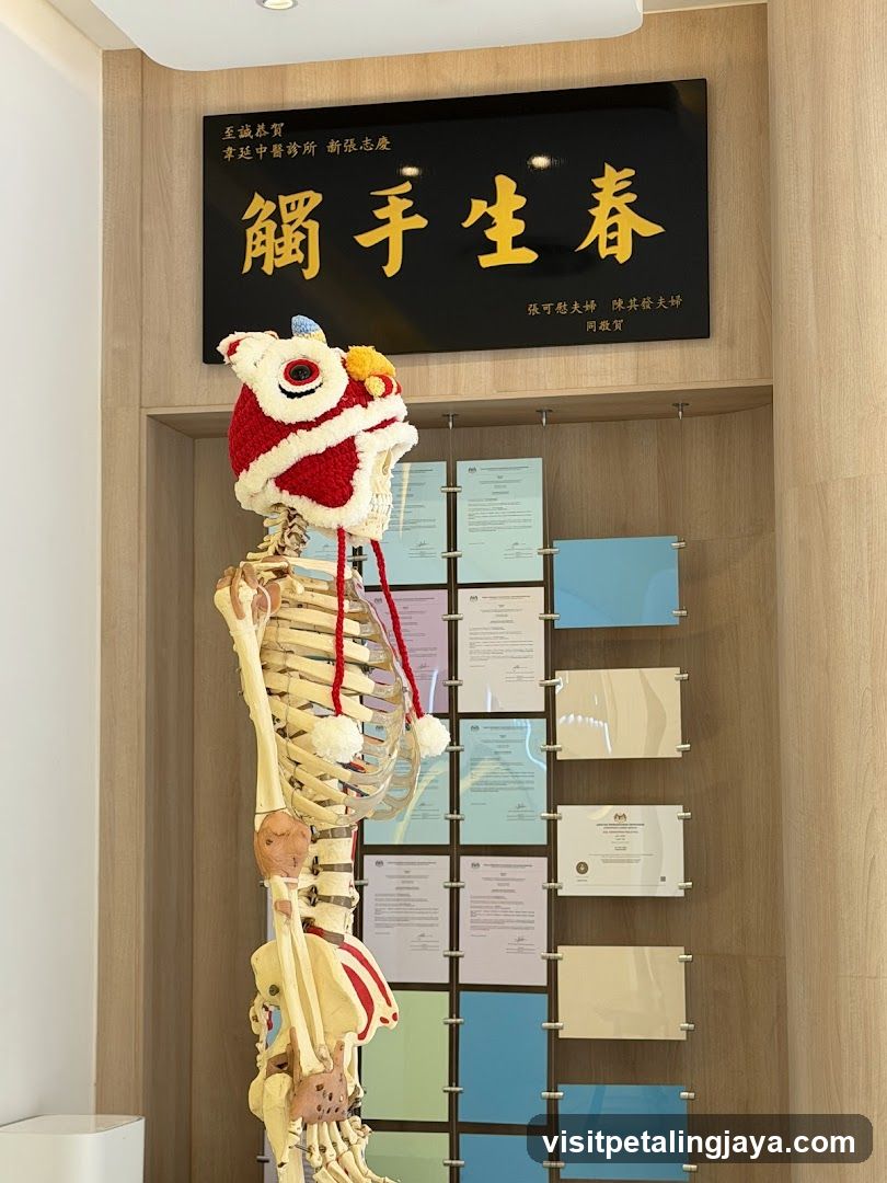 Touched by Spring - Traditional Chinese Medicine Clinic Interior
