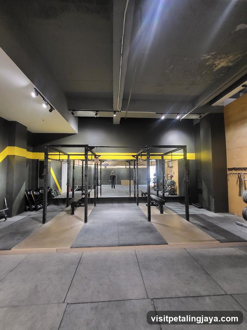 Gym Interior with Squat Racks and Weight Equipment