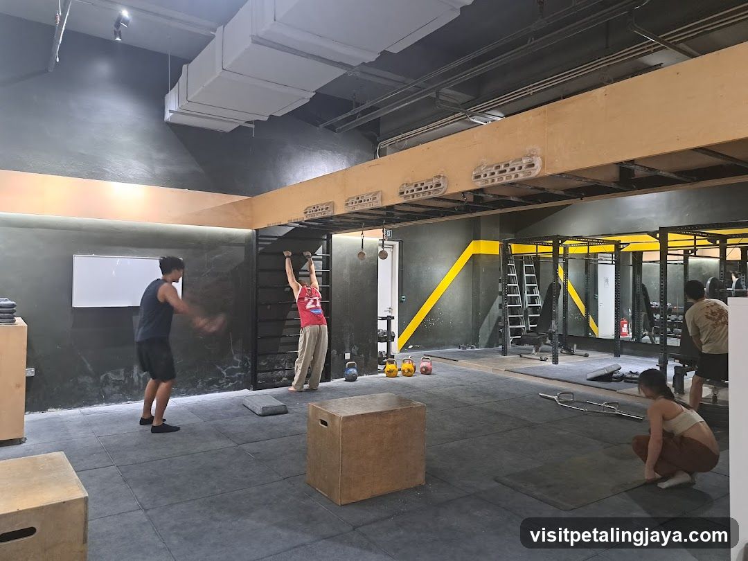 Gym Interior Scene