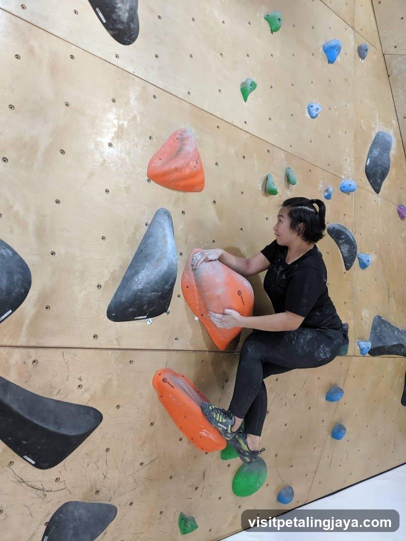 Indoor Rock Climbing Wall