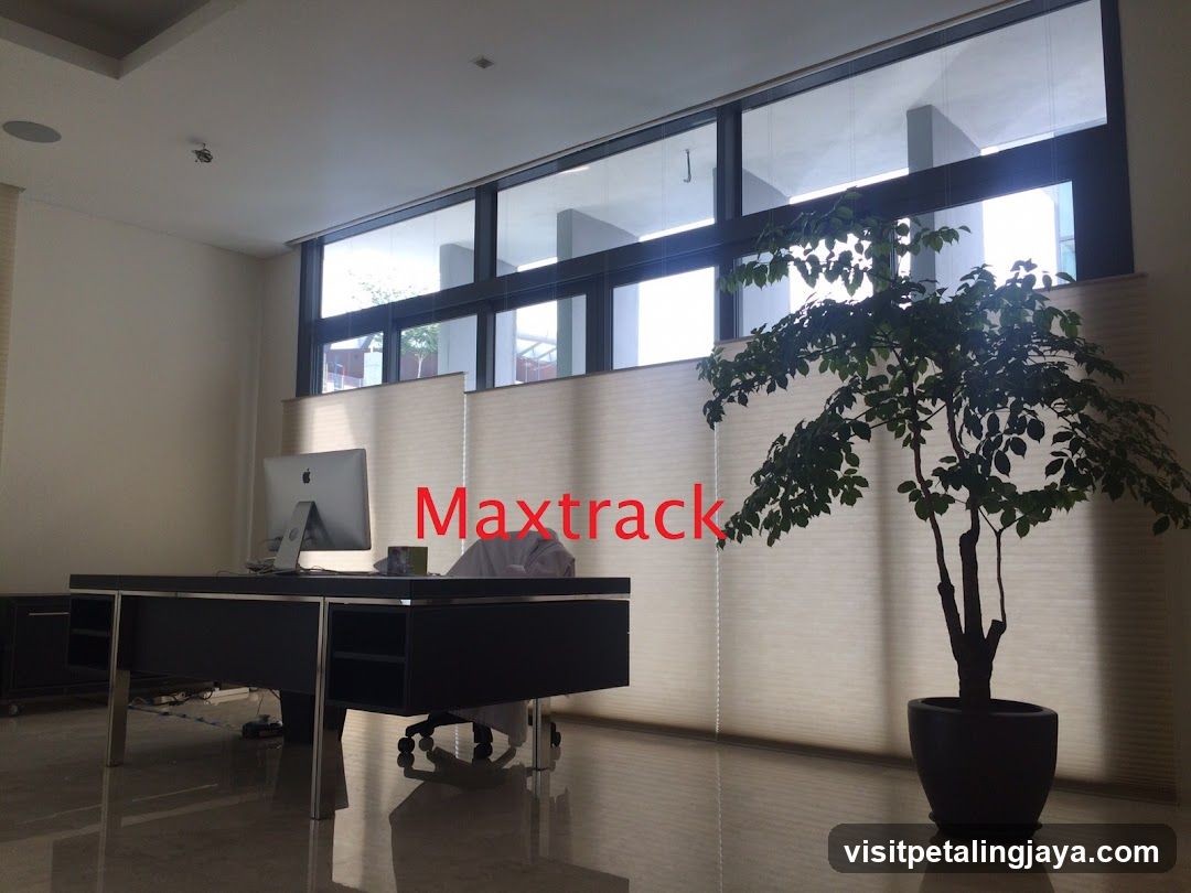 Office Interior with Blinds and Plant