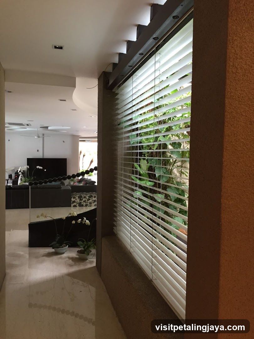 Interior View with Blinds and Plants
