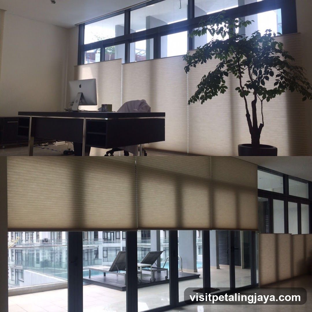 Office Interior with Blinds and Plant
