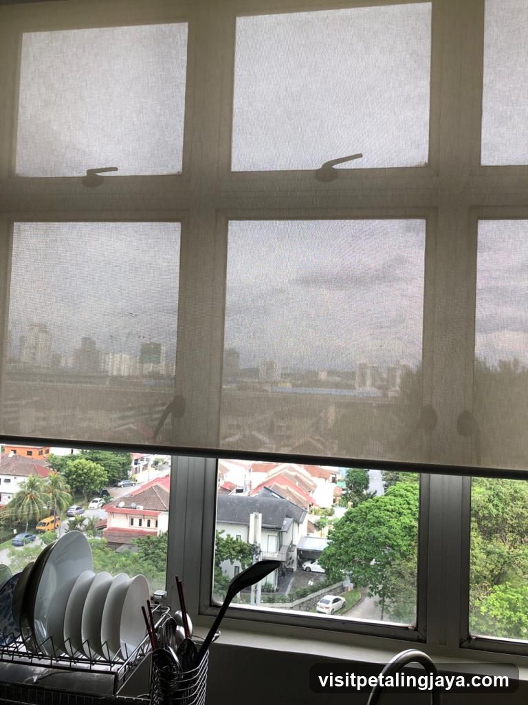 Kitchen Window View