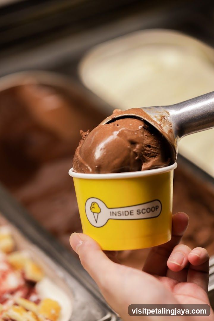 Ice Cream Scoop