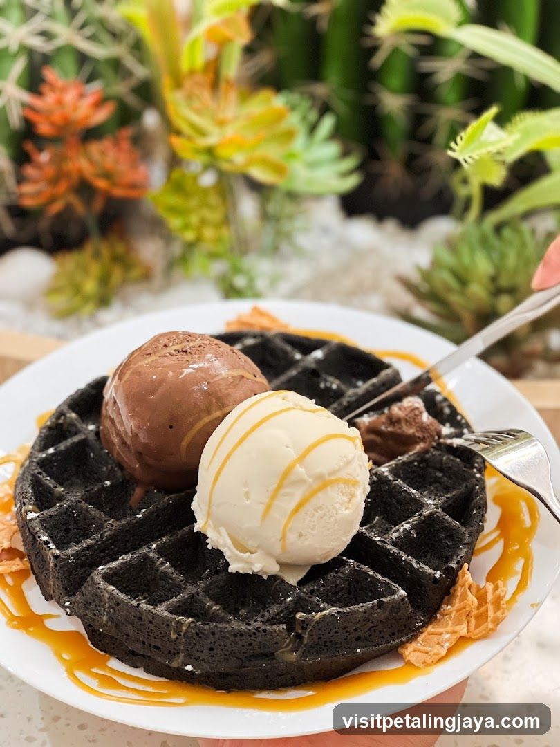 Waffle with Ice Cream