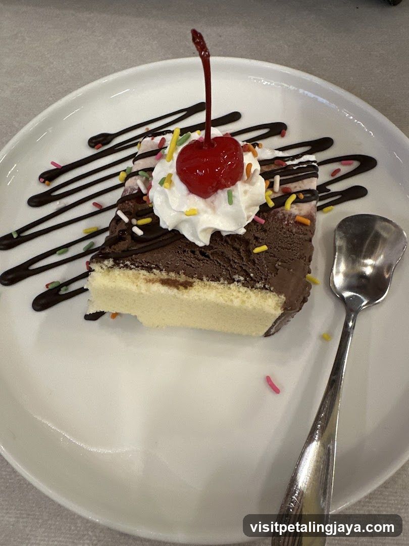 Chocolate Cake Slice with Cherry and Sprinkles