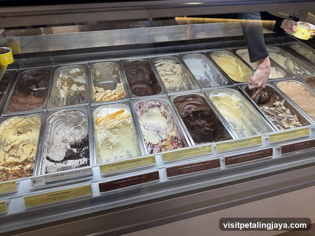 Gelato Display Case