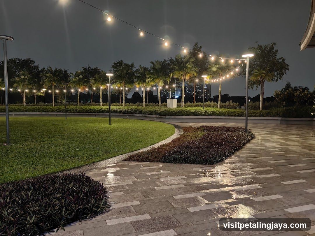 Nighttime Park Scene with String Lights