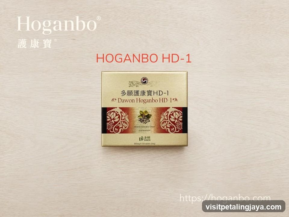 Hoganbo HD-1 Product Display