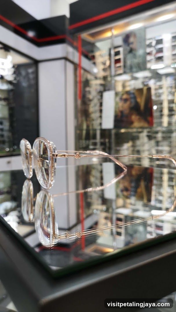 Eyeglasses Display Case