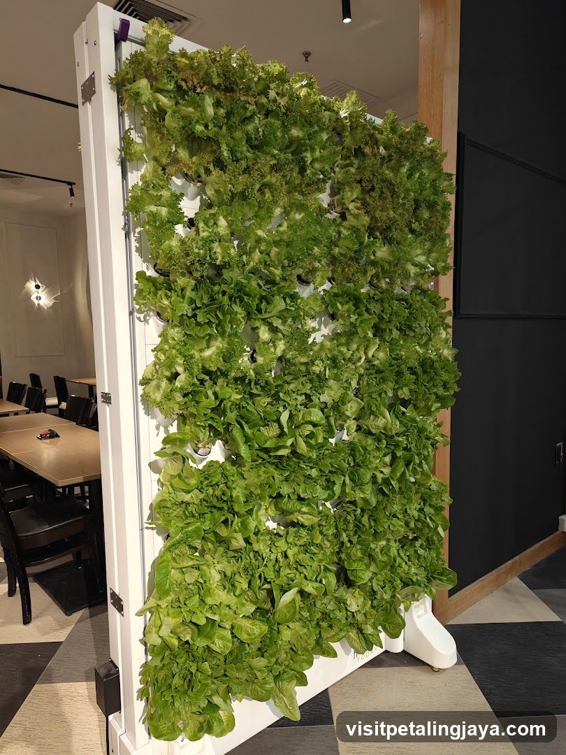 Vertical Garden Display