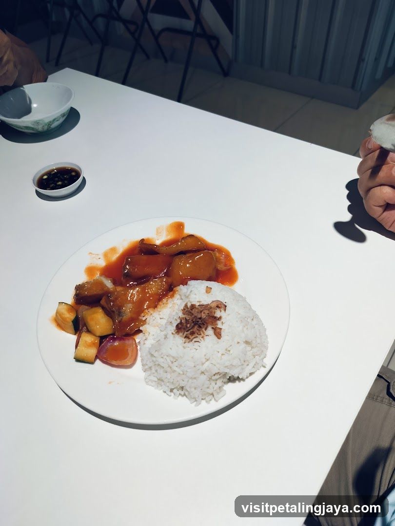 Sticky Rice with Curry and Fried Rice
