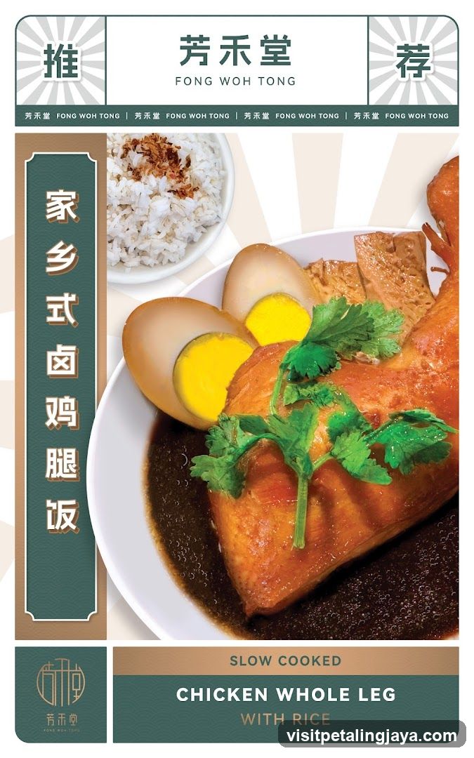 Fong Woh Tong - Home Style Braised Chicken Leg Rice