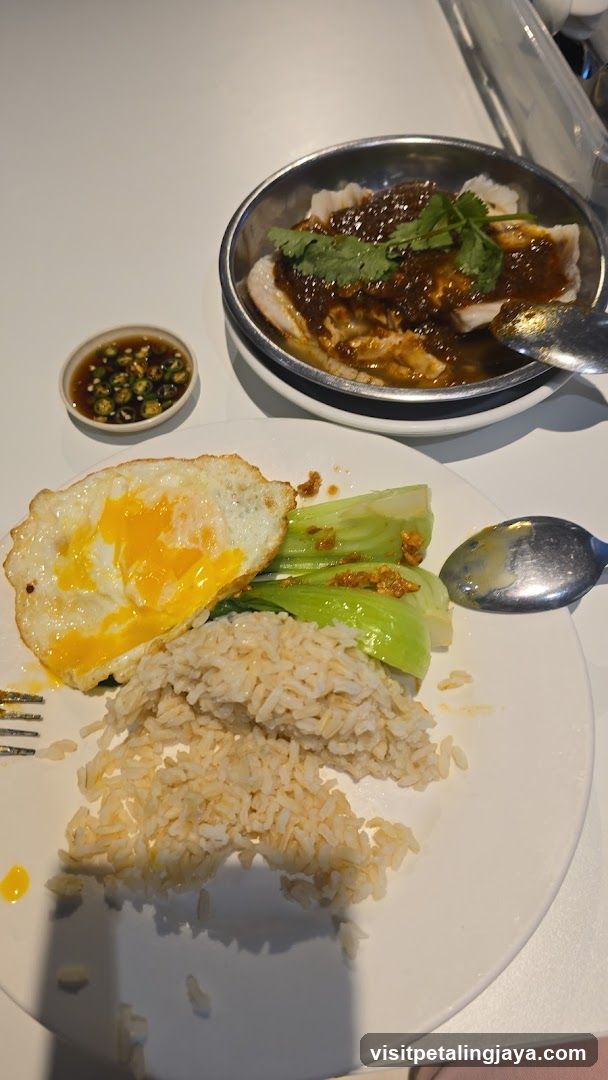 Meal with Rice and Egg