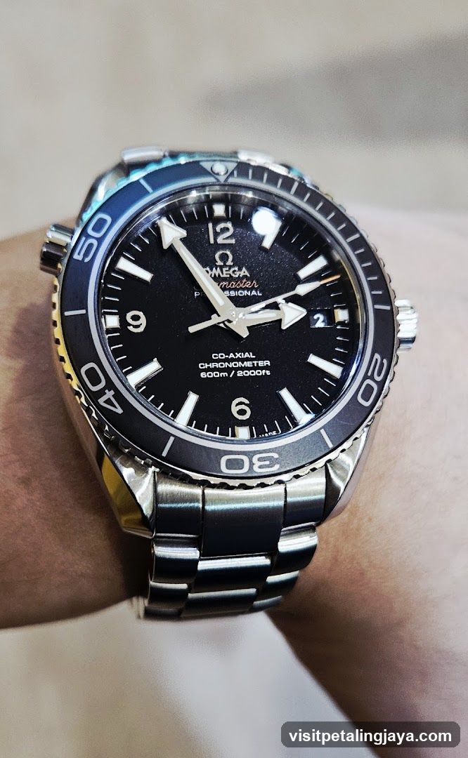 Omega Seamaster Professional Watch