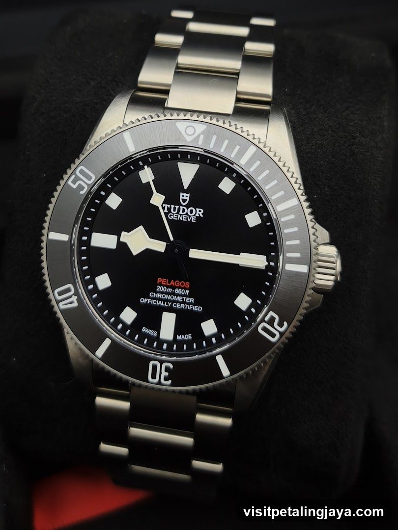Tudor Pelagos Watch