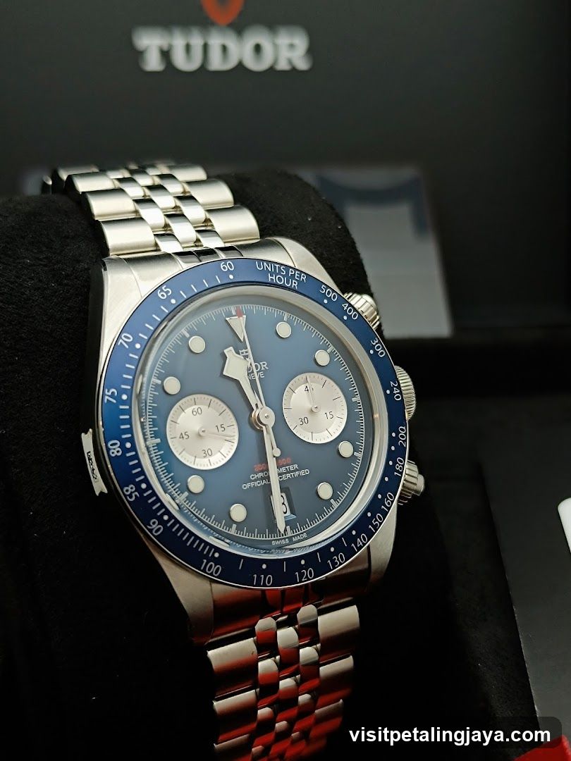 Tudor Watch Display