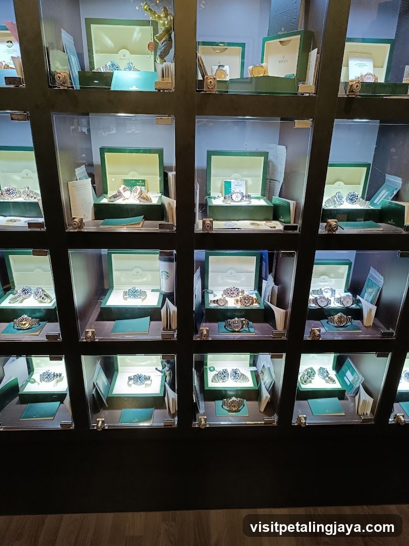 Luxury Watch Display Case