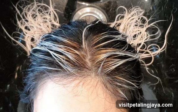 Hair Dyeing Process