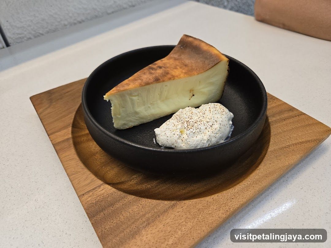 Cheesecake Slice with Whipped Cream