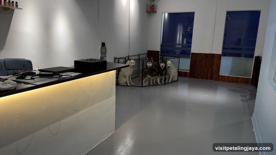 Interior of a pet shop or dog care center